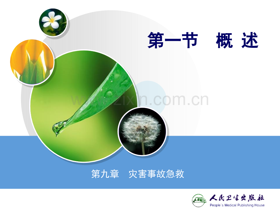急诊医学课件9第九章灾害事故急救.ppt_第2页