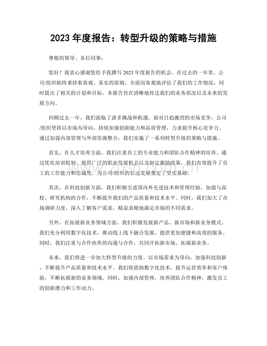 2023年度报告：转型升级的策略与措施.docx_第1页