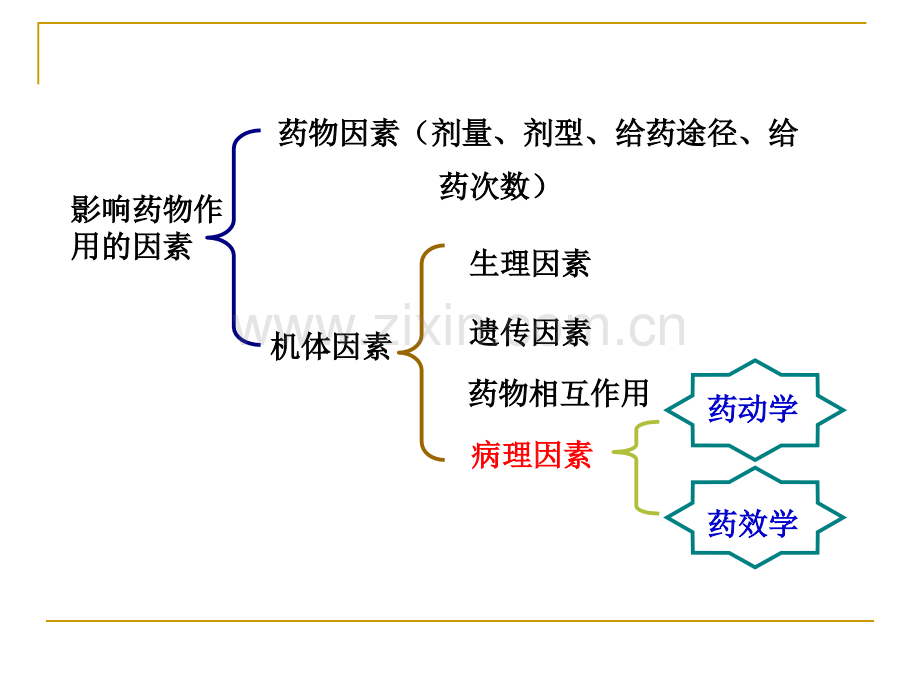 6疾病对临床用药的影响.ppt_第2页