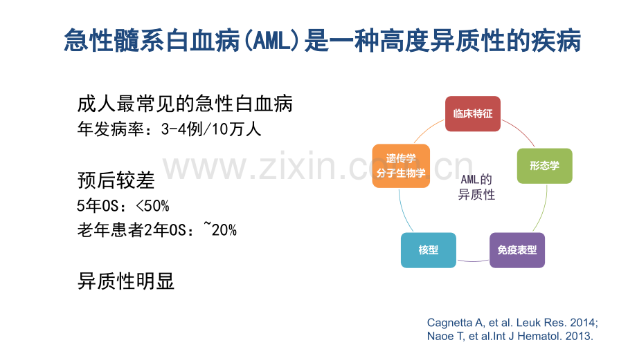 AML精准诊疗.ppt_第2页