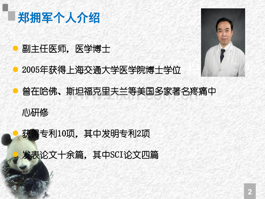 冲击波加脊柱.ppt_第2页