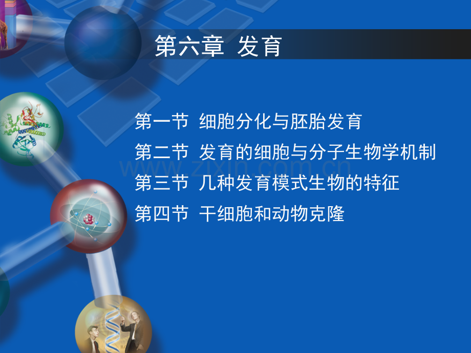 生命科学导论-发育2012-6.ppt_第1页