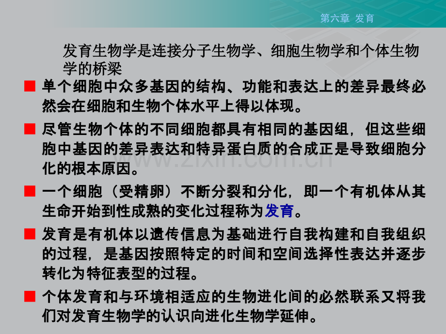 生命科学导论-发育2012-6.ppt_第2页