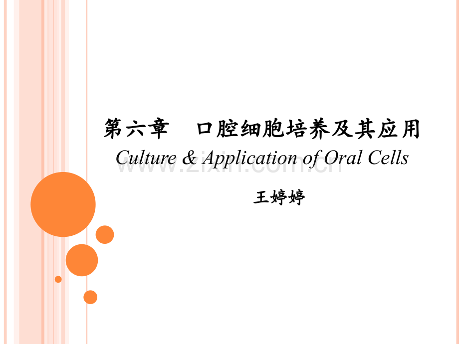 口腔细胞培养及其应用.ppt_第1页