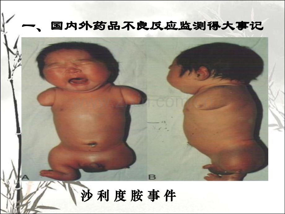 经营企业知识培训黎.pptx_第2页