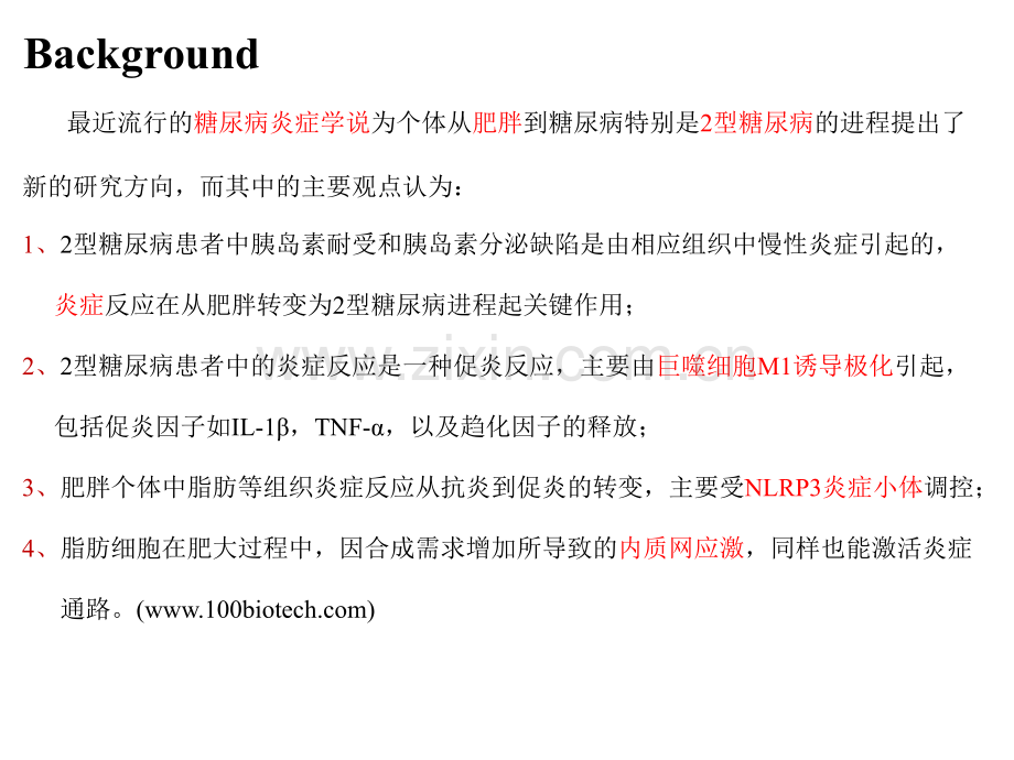 2型糖尿病的炎症学说--百替生物.pptx_第2页