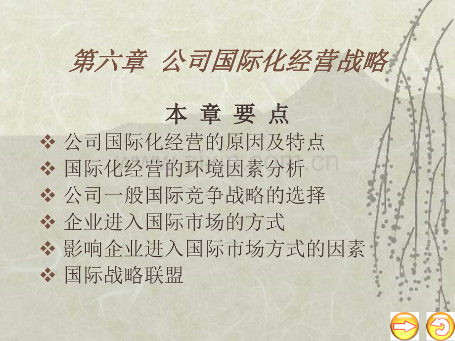 2019年整理公司国际化经营战略---第三章-企业的内部环境分析.ppt_第1页