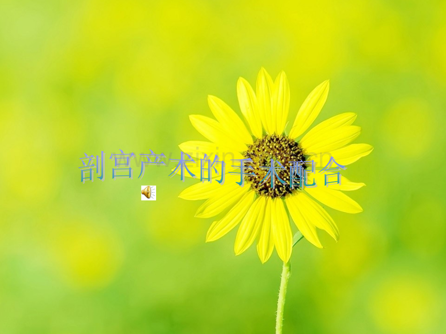 剖宫产-(1).ppt_第1页