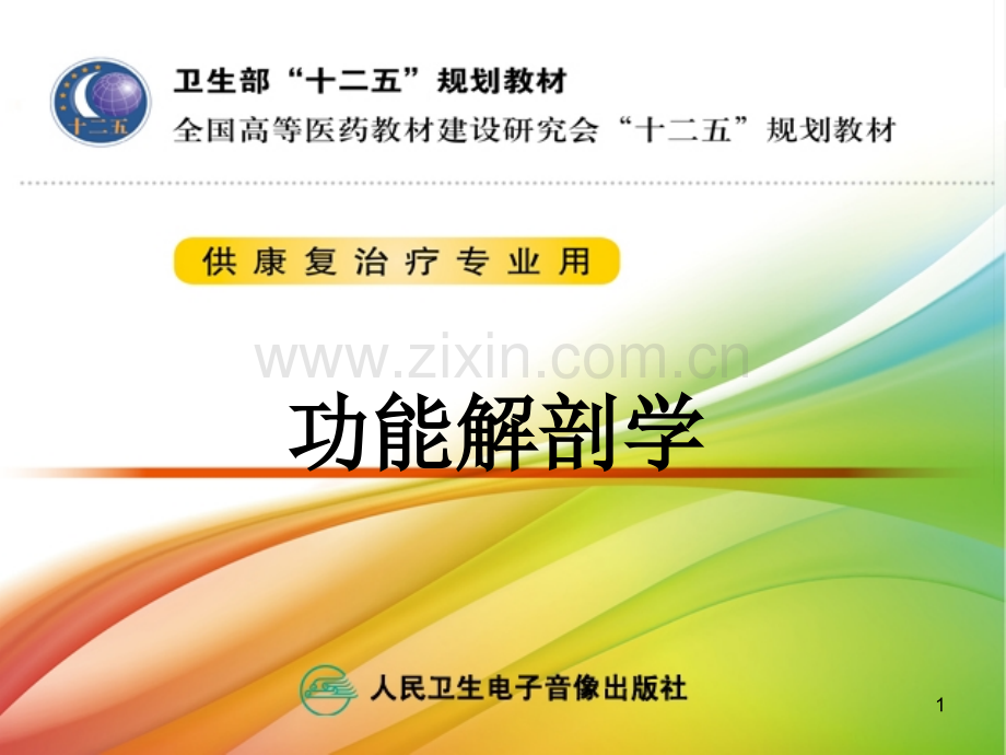 左主支气管.ppt_第1页