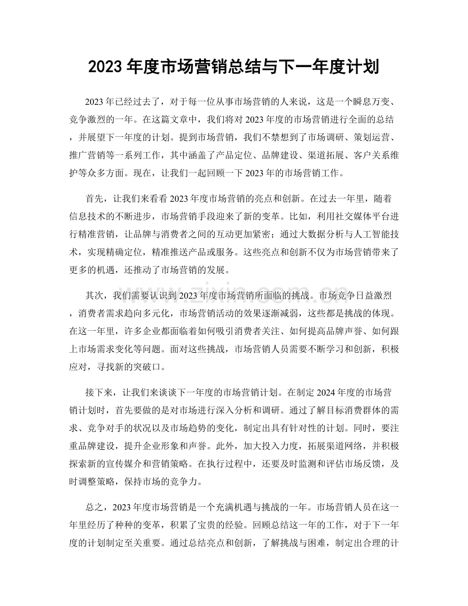 2023年度市场营销总结与下一年度计划.docx_第1页