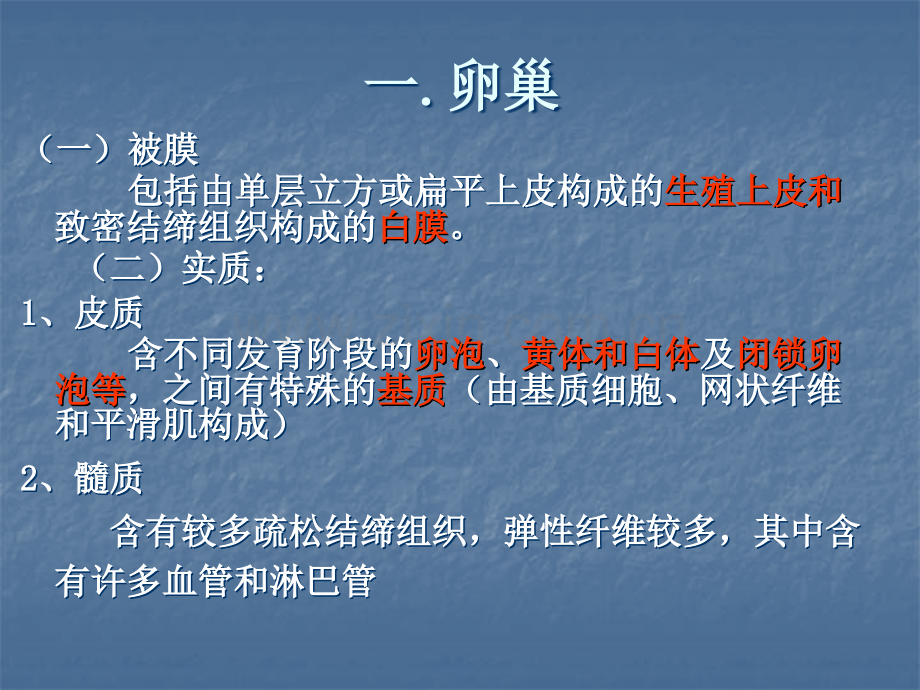 2018年卵巢和睾丸组织结构观察-文档资料.ppt_第1页