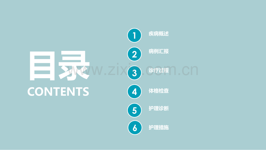 急性白血病护理查房-.pptx_第2页
