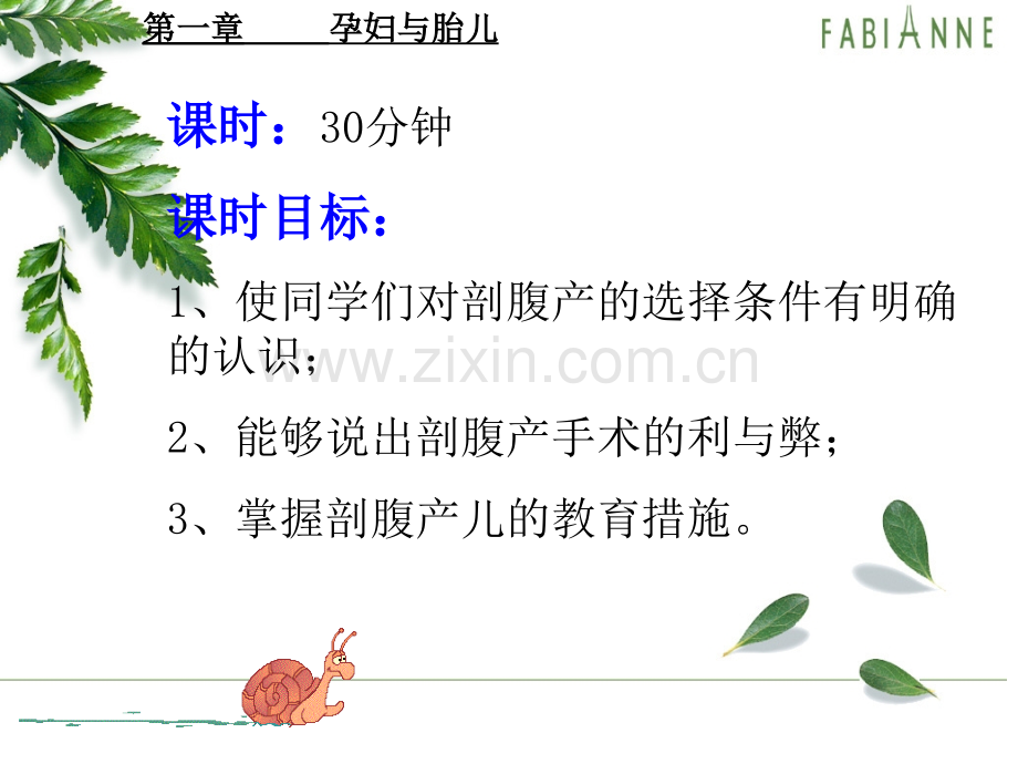 剖腹产的利与弊.ppt_第2页