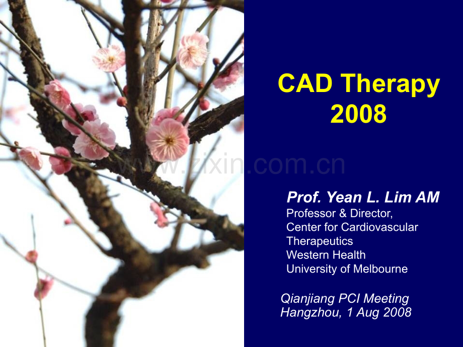 冠心病治疗-2008.ppt_第1页