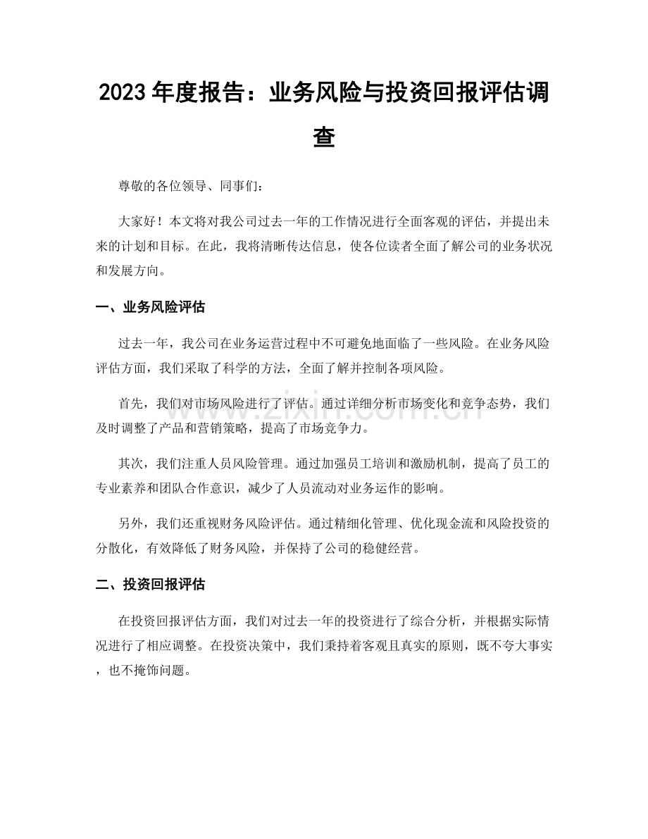 2023年度报告：业务风险与投资回报评估调查.docx_第1页