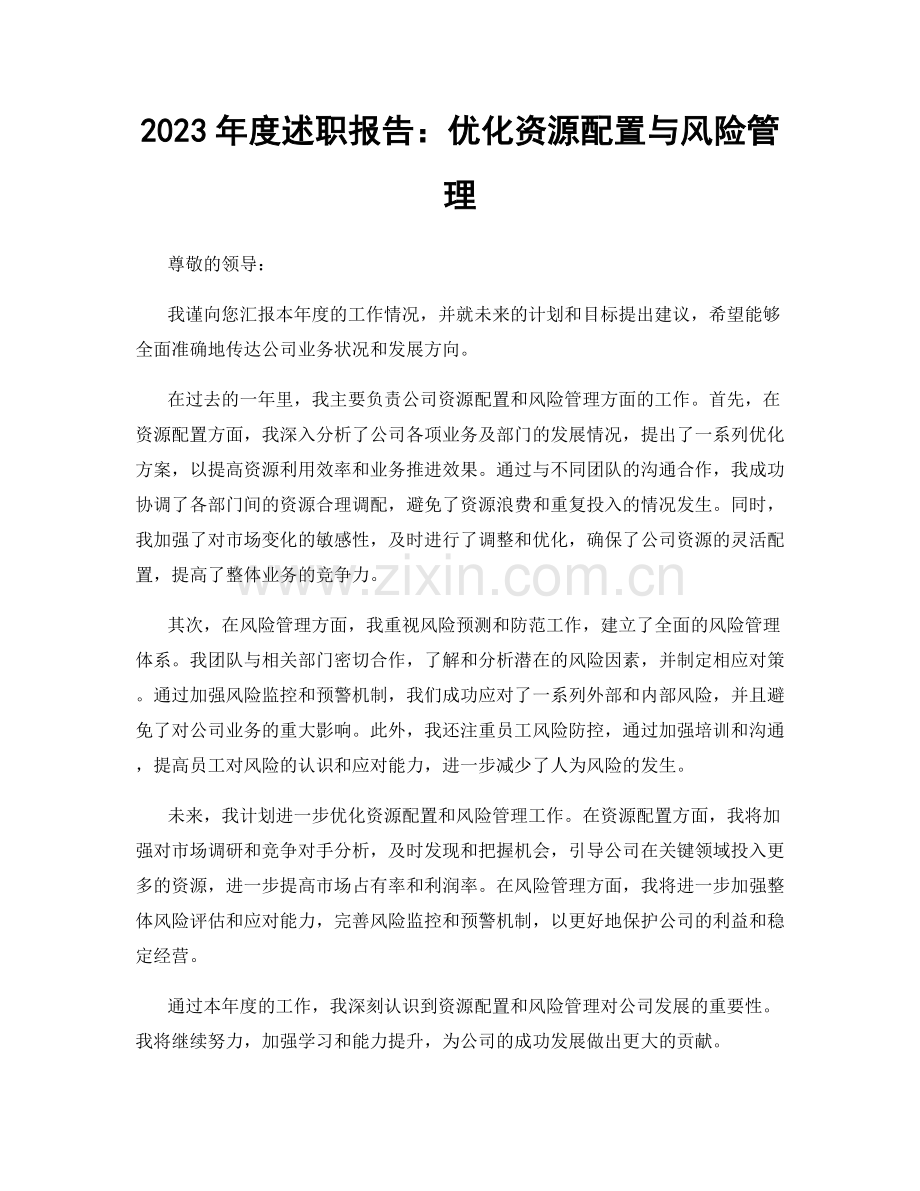 2023年度述职报告：优化资源配置与风险管理.docx_第1页