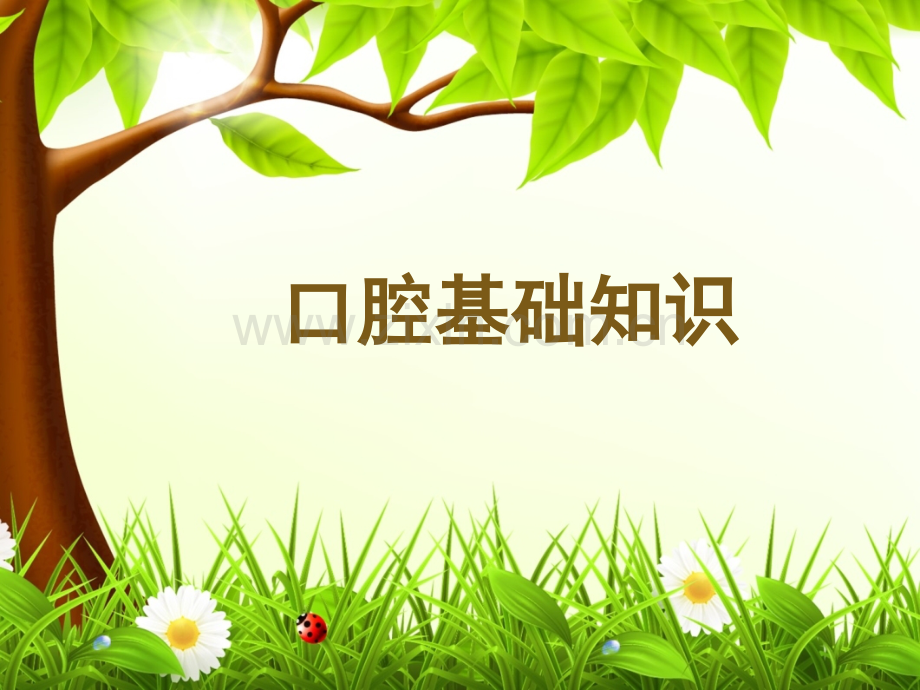 口腔基础知识.ppt_第1页