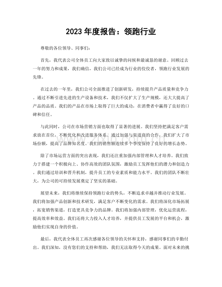 2023年度报告：领跑行业.docx_第1页