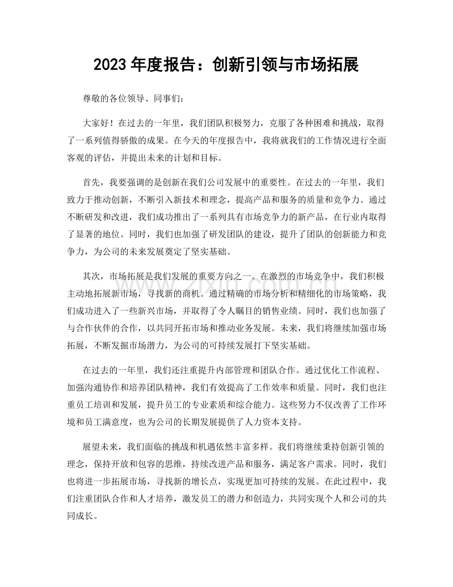 2023年度报告：创新引领与市场拓展.docx_第1页