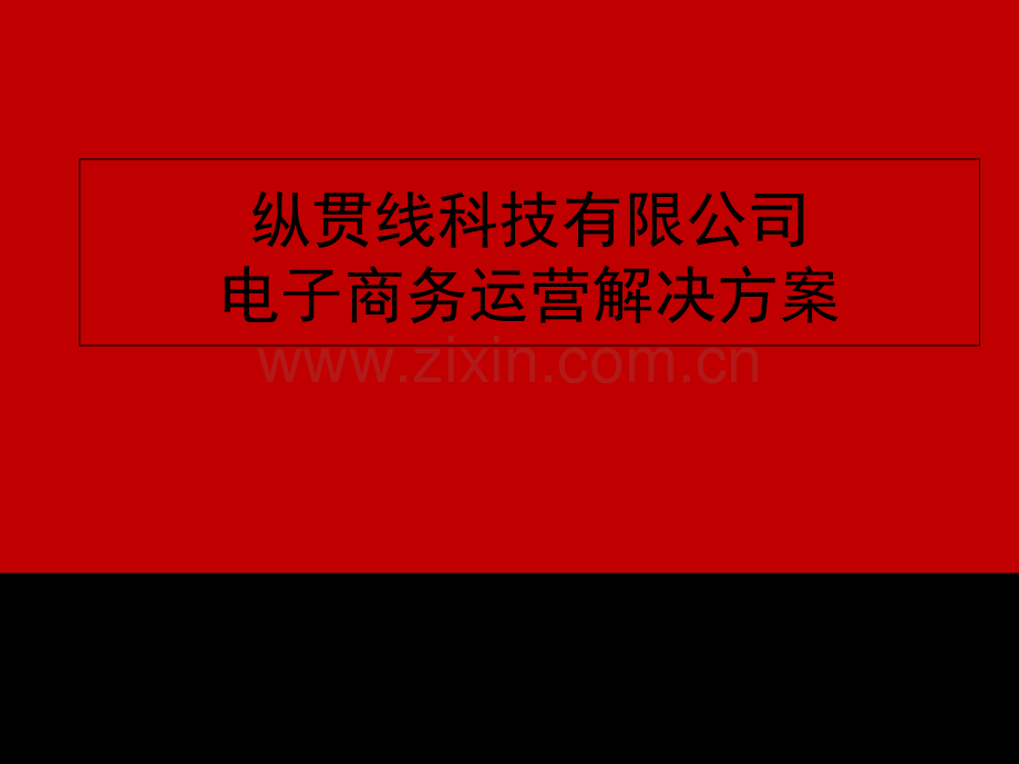 淘宝电子商务运营解决方案.ppt_第1页