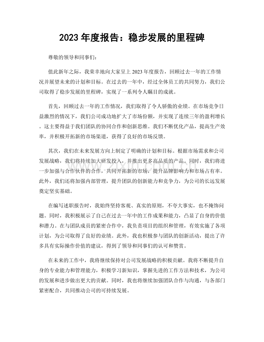 2023年度报告：稳步发展的里程碑.docx_第1页