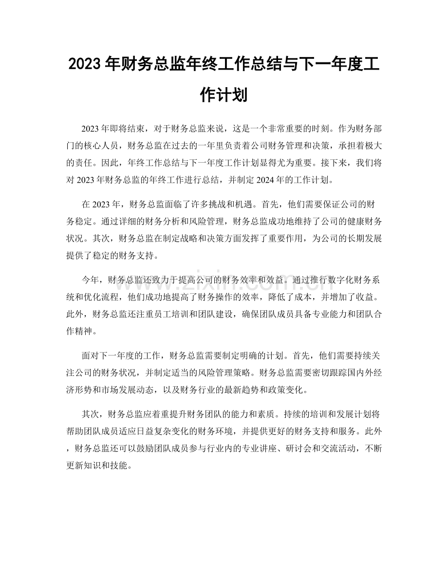 2023年财务总监年终工作总结与下一年度工作计划.docx_第1页