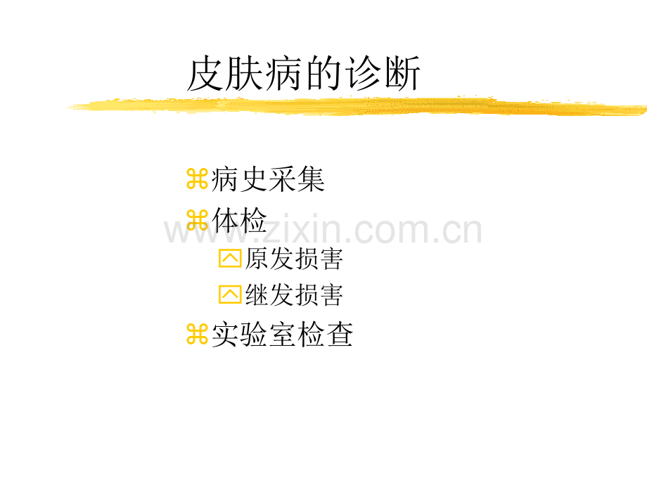2019年-皮肤病的诊断和治疗-PPT文档.ppt_第2页