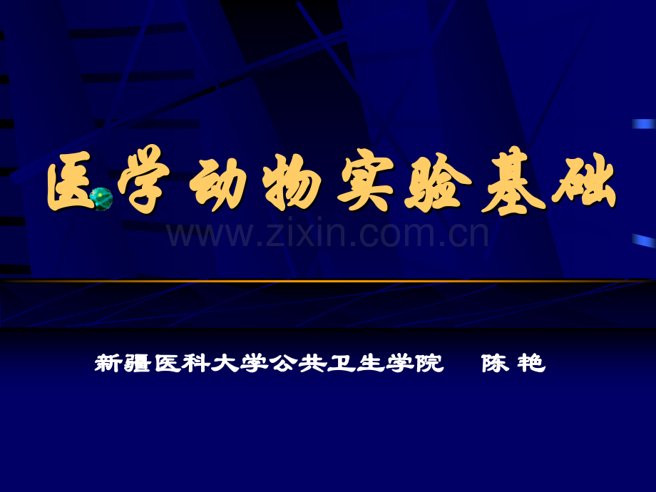 医学实验动物实验基础.ppt_第1页