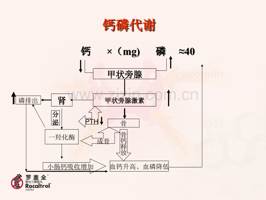 罗盖全冲击疗法-(1).ppt_第2页