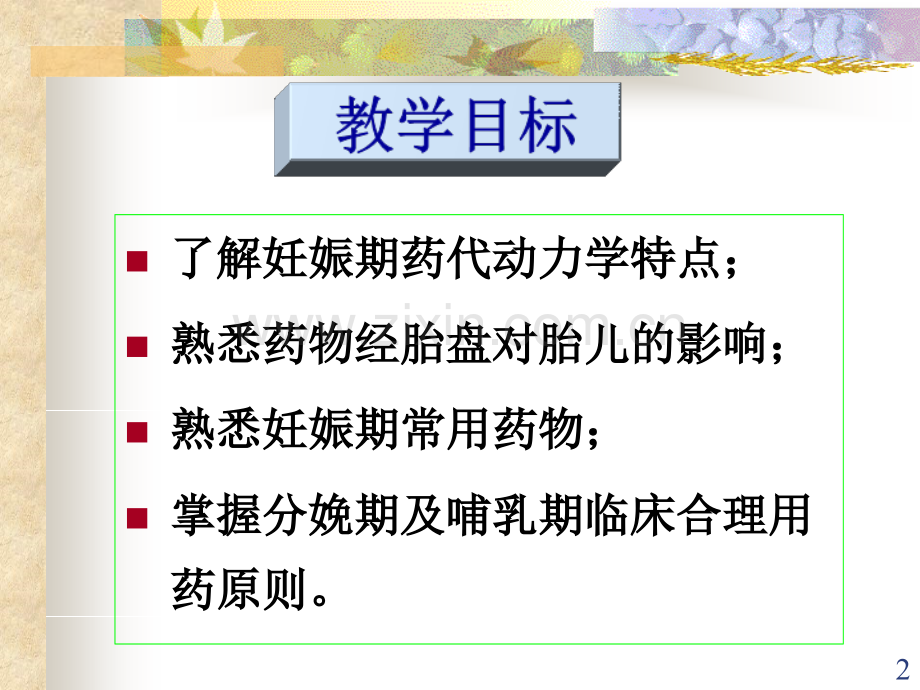《妊娠期合理用药》.ppt_第2页
