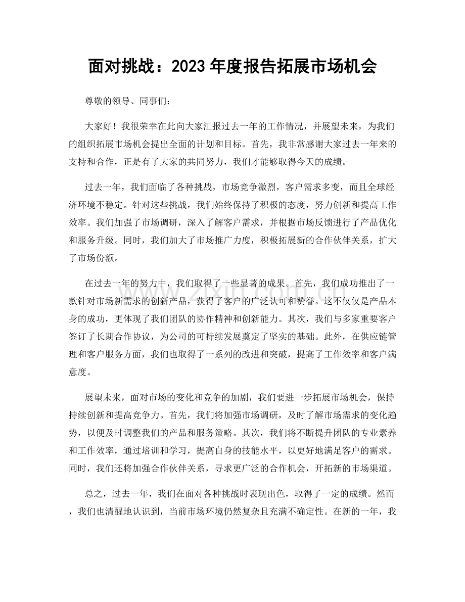 面对挑战：2023年度报告拓展市场机会.docx_第1页