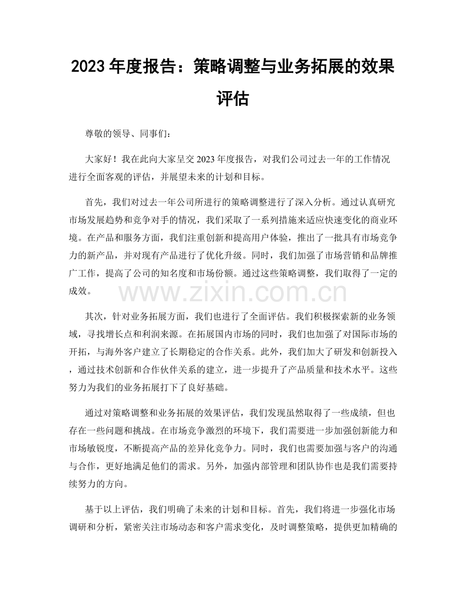 2023年度报告：策略调整与业务拓展的效果评估.docx_第1页