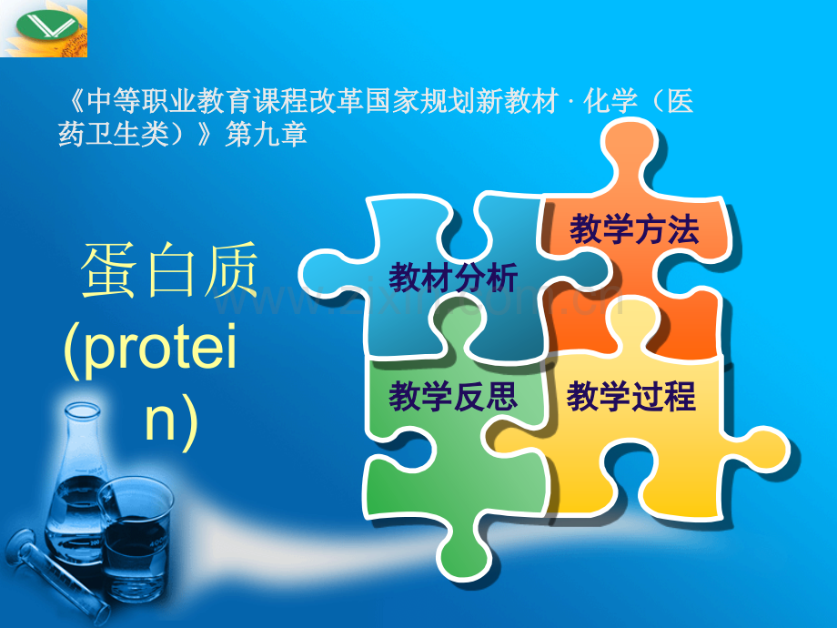《蛋白质》说课课件(上海市医药学校--师帆).ppt_第2页