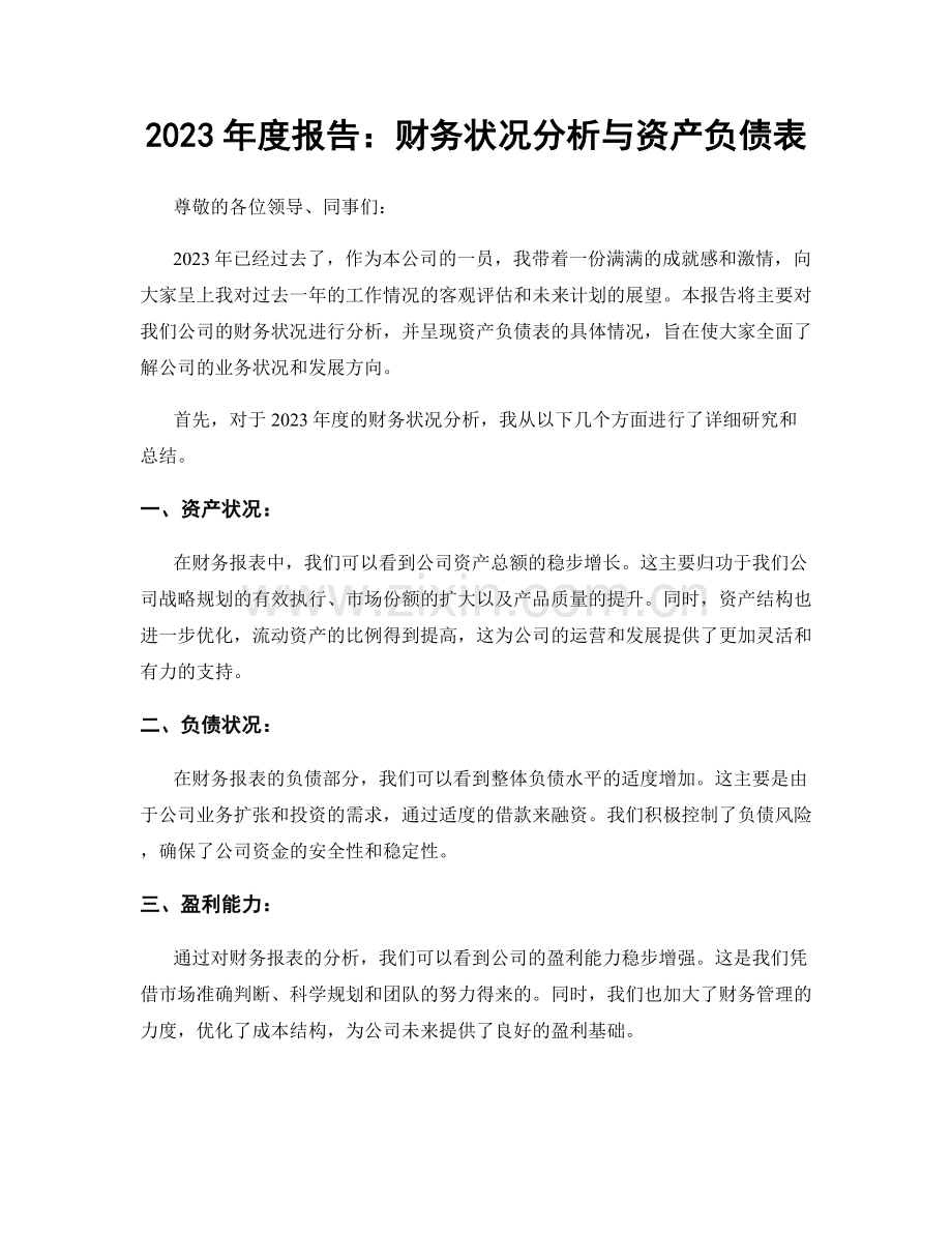 2023年度报告：财务状况分析与资产负债表.docx_第1页