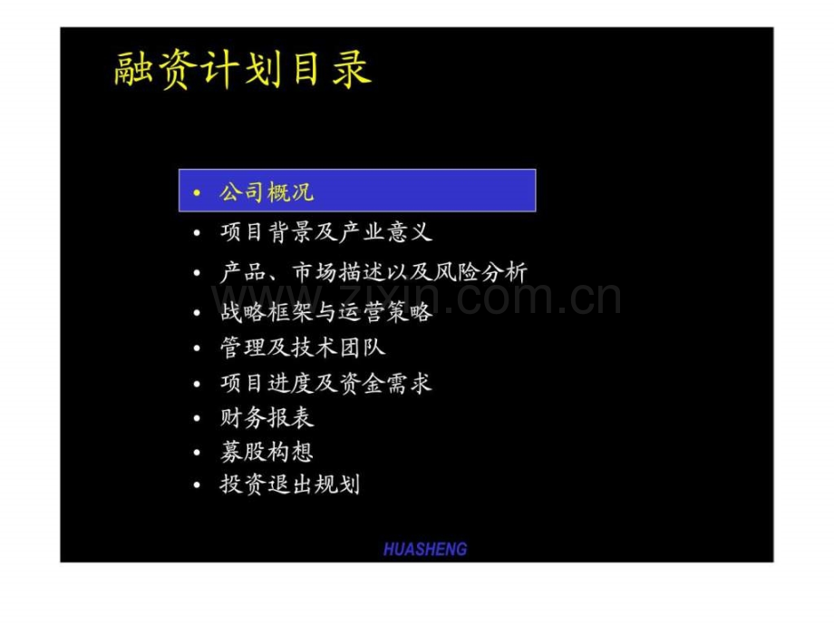 上海华生高新技术医药开发有限公司融资计划共41页文档.ppt_第2页