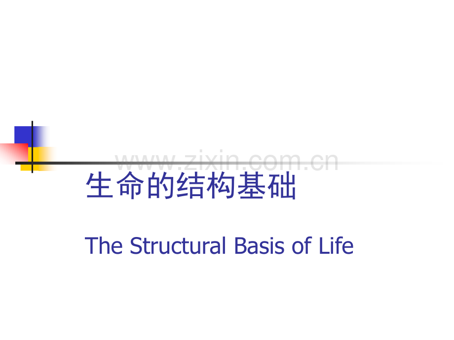 沪科版生命科学高一上第3章《生命的结构基础》.ppt_第1页