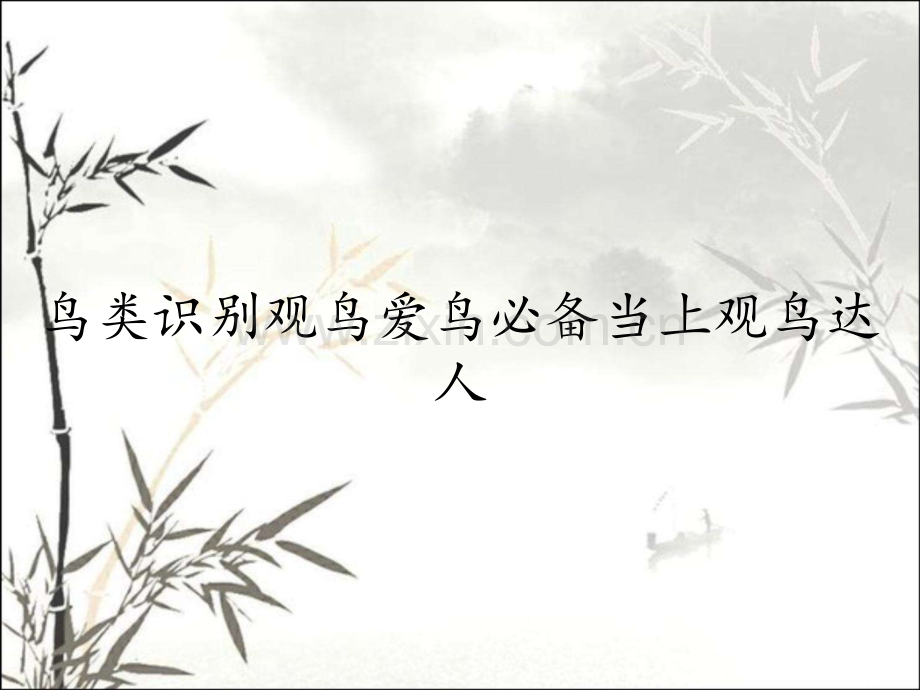 鸟类识别观鸟爱鸟必备当上观鸟达人.pptx_第1页
