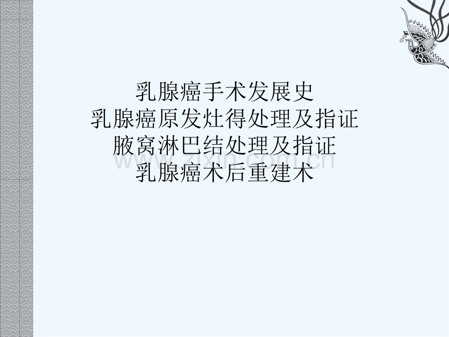 乳腺癌的手术治疗-PPT.pptx_第2页