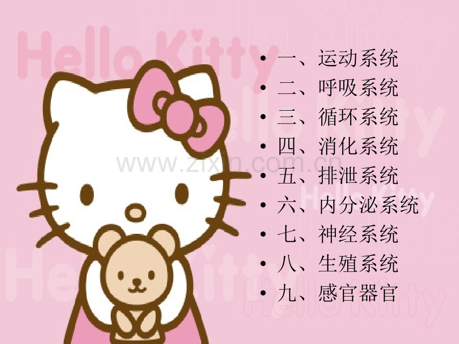 幼儿各大系统特点及卫生保健1.ppt_第2页