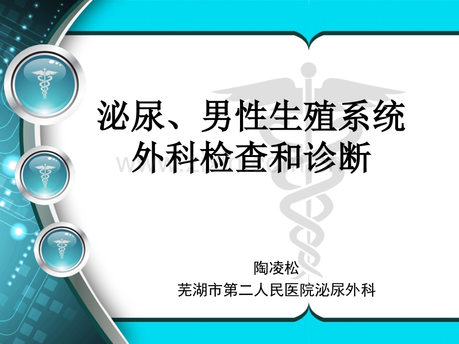 2015泌尿男生殖系统外科检查和诊断.ppt_第2页