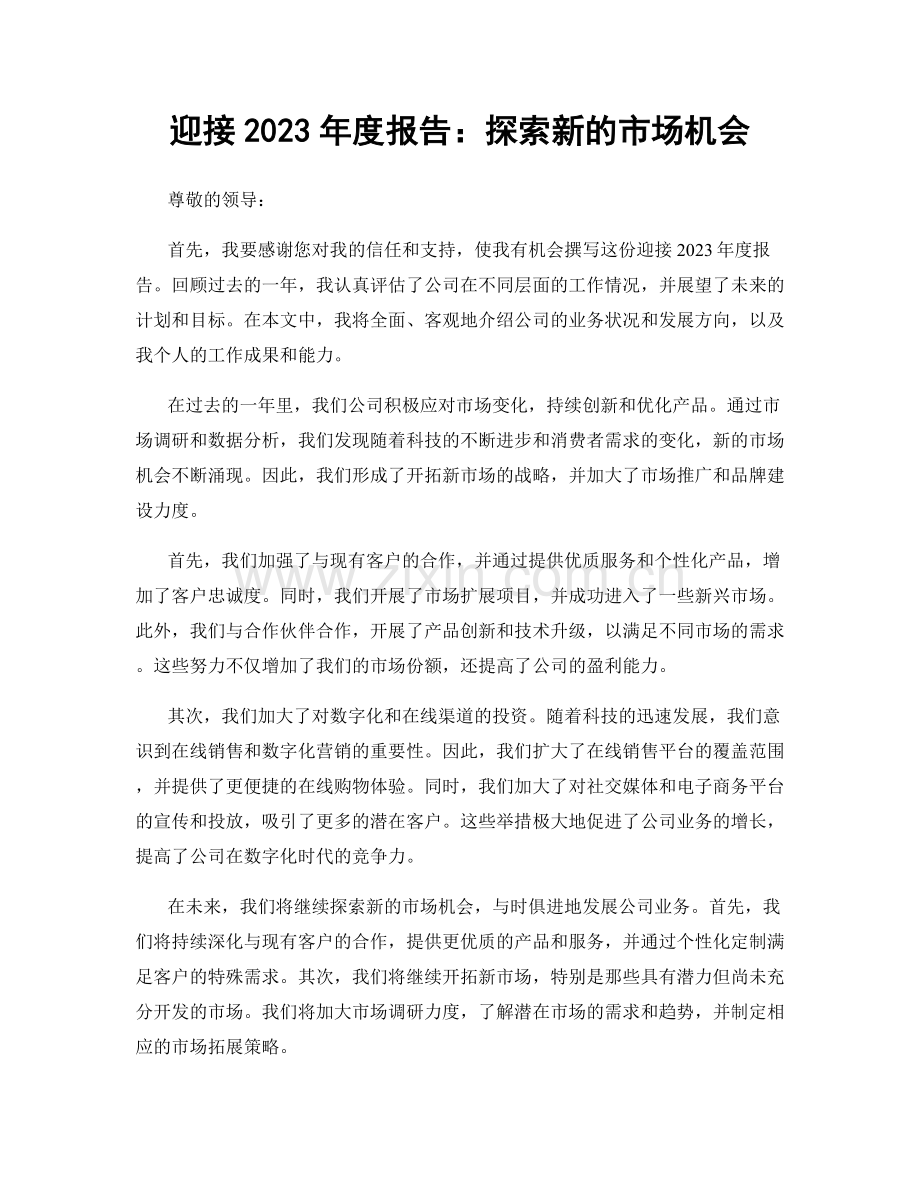 迎接2023年度报告：探索新的市场机会.docx_第1页