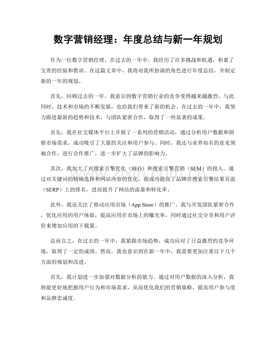 数字营销经理：年度总结与新一年规划.docx_第1页