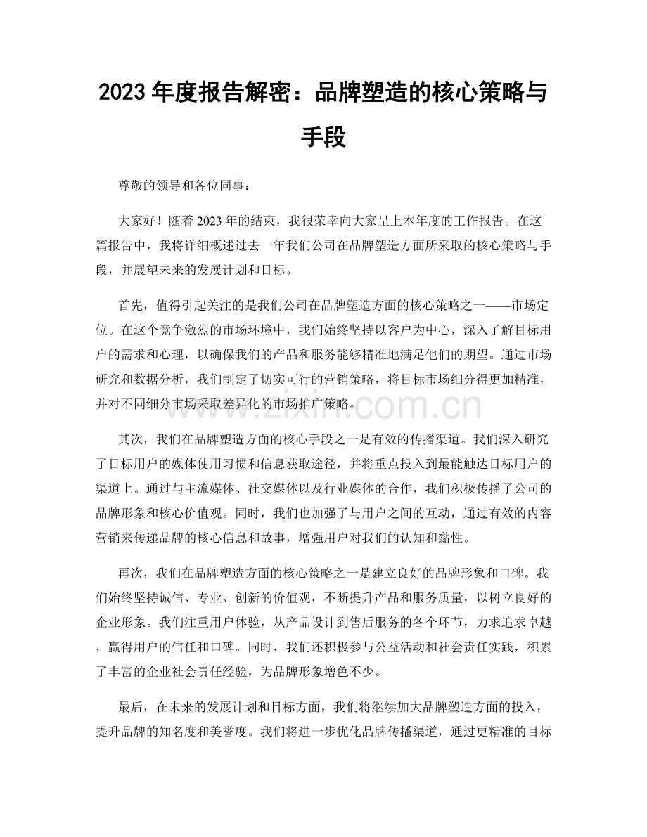 2023年度报告解密：品牌塑造的核心策略与手段.docx_第1页
