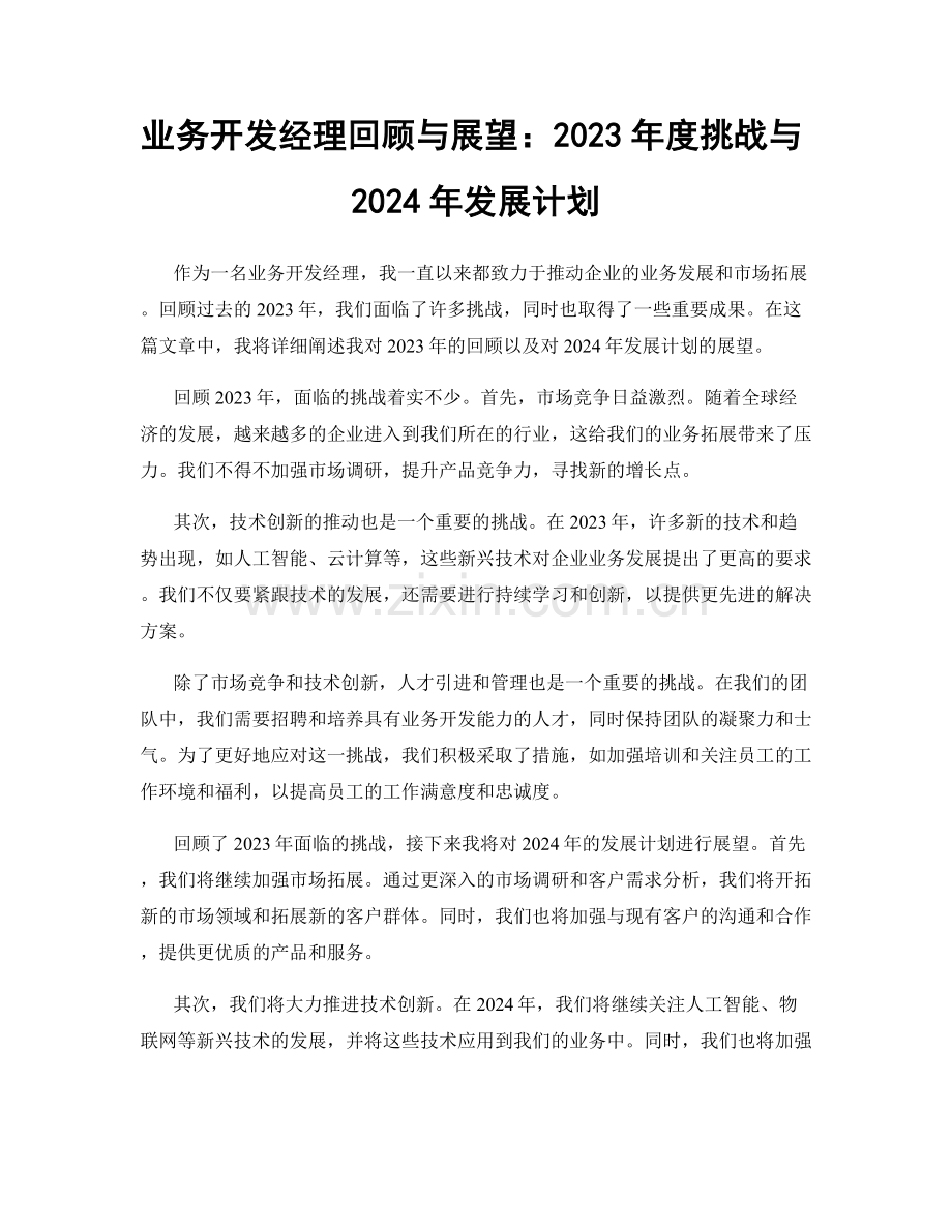业务开发经理回顾与展望：2023年度挑战与2024年发展计划.docx_第1页