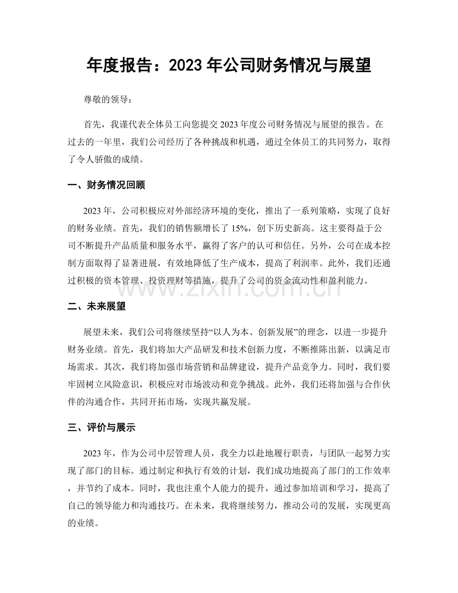 年度报告：2023年公司财务情况与展望.docx_第1页