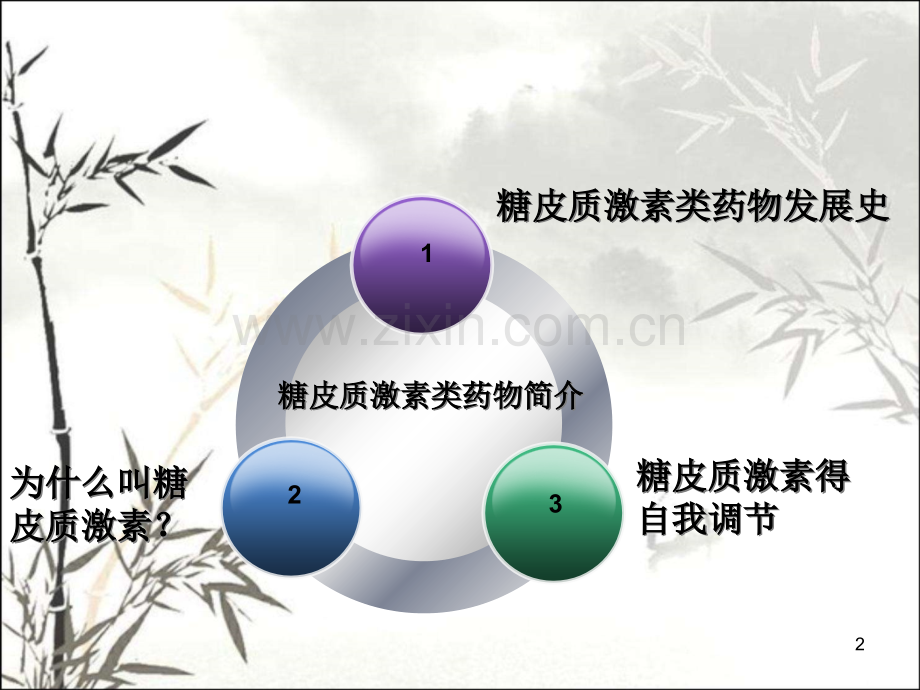 糖皮质激素类药物再认识.pptx_第2页