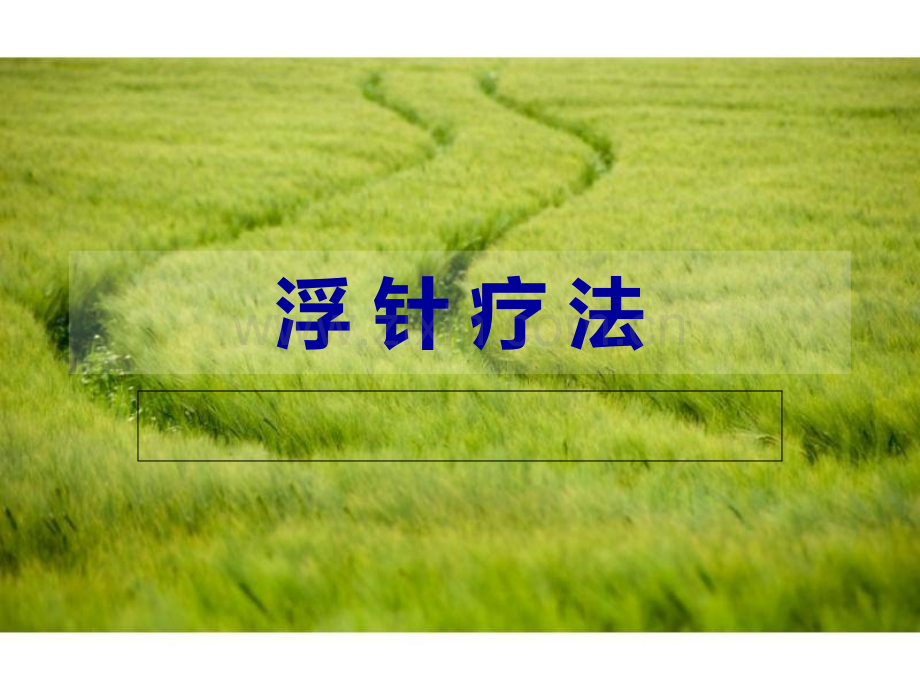 浮针疗法(新技术、新业务).ppt_第1页