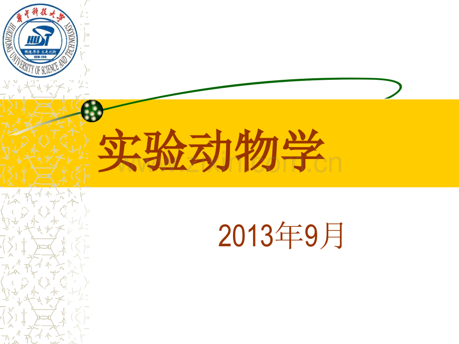 湖北实验动物专业技术考试复习用PPT---孔利佳--实验动物遗传lu.ppt修改稿.ppt_第1页