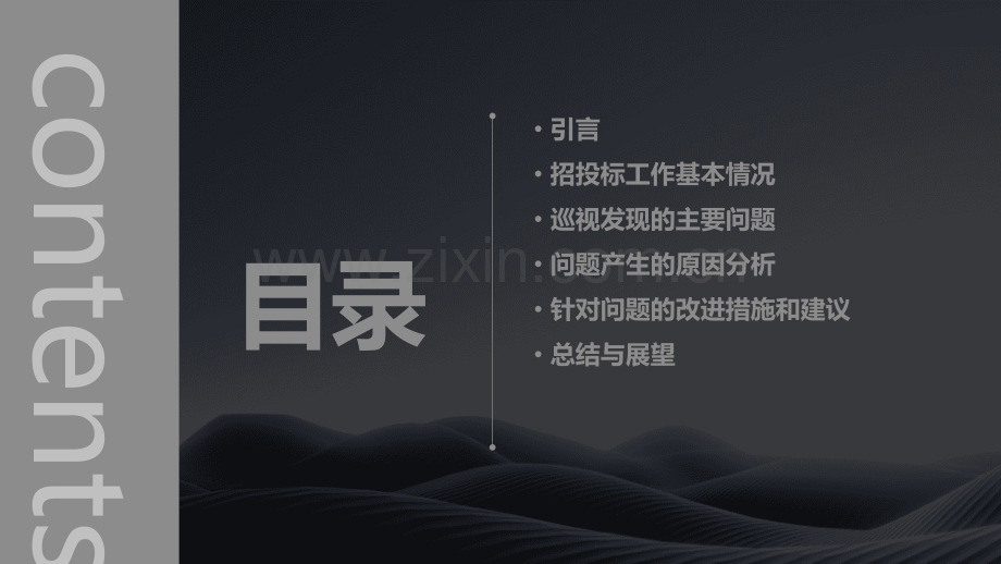 招投标巡视工作总结.pptx_第2页