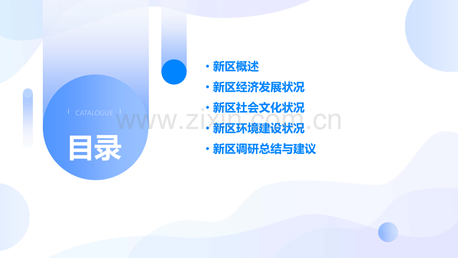 在新区调研报告.pptx_第2页